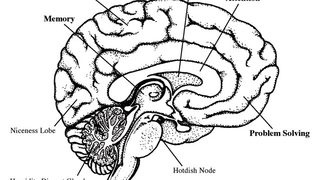 MAIN full horiz - BRAIN.jpg 2012-06-11 13:50:29 Researchers considered five aspects of ‘braininess’, but we think the Midwest had a leg up on a few others.
