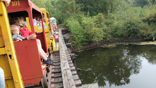 This afternoon: Tiffany Train Ride - Birding Special. Details below.