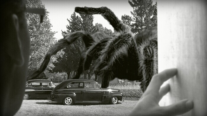 MAIN full horiz - giant spider.jpg 2013-09-17 10:34:06 TONIGHT: Check out the local movie premiere of The Giant Spider. Details below.