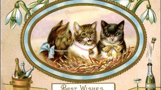 MAIN full horiz - three-cats-champagne.jpg 2014-12-29 15:33:56 Happy Mew Year