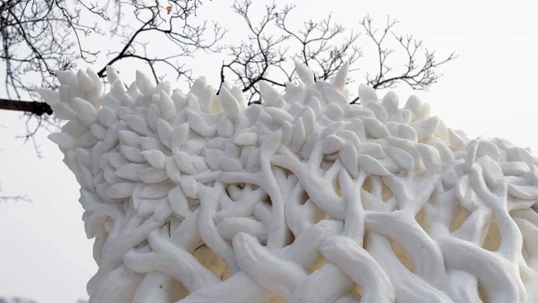 MAIN full horiz - snow_wide.jpg 2015-02-02 16:21:53 Photo: Rolley Bateman