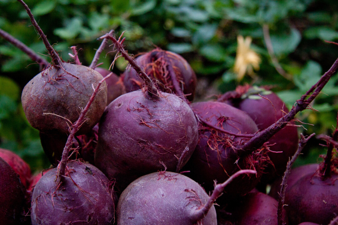 You can't beet Wisconsin, baby.