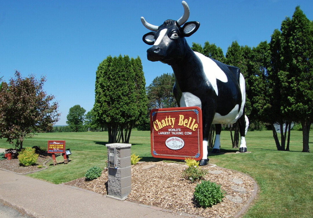 Steer on over to Neillsville to chat with Belle.