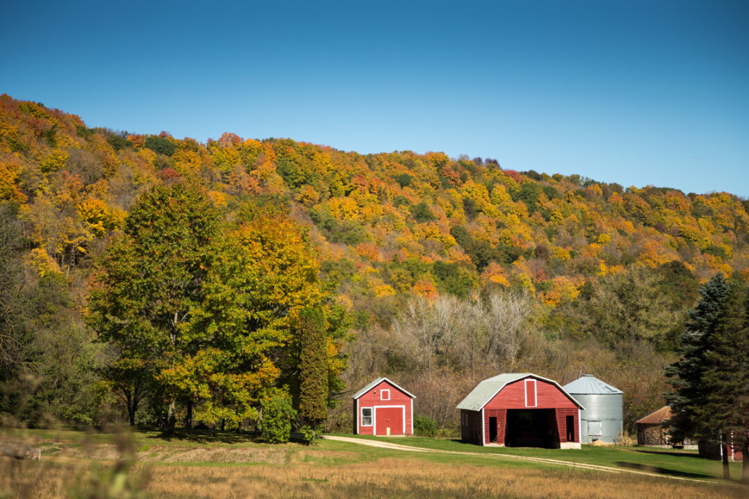 Wisconsin is the perfect place to get the kids in the car, hit the road, and revel in the changing leaves.