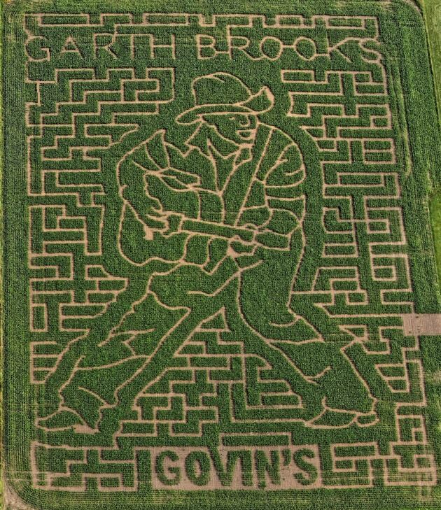 Image: Govin's Farm