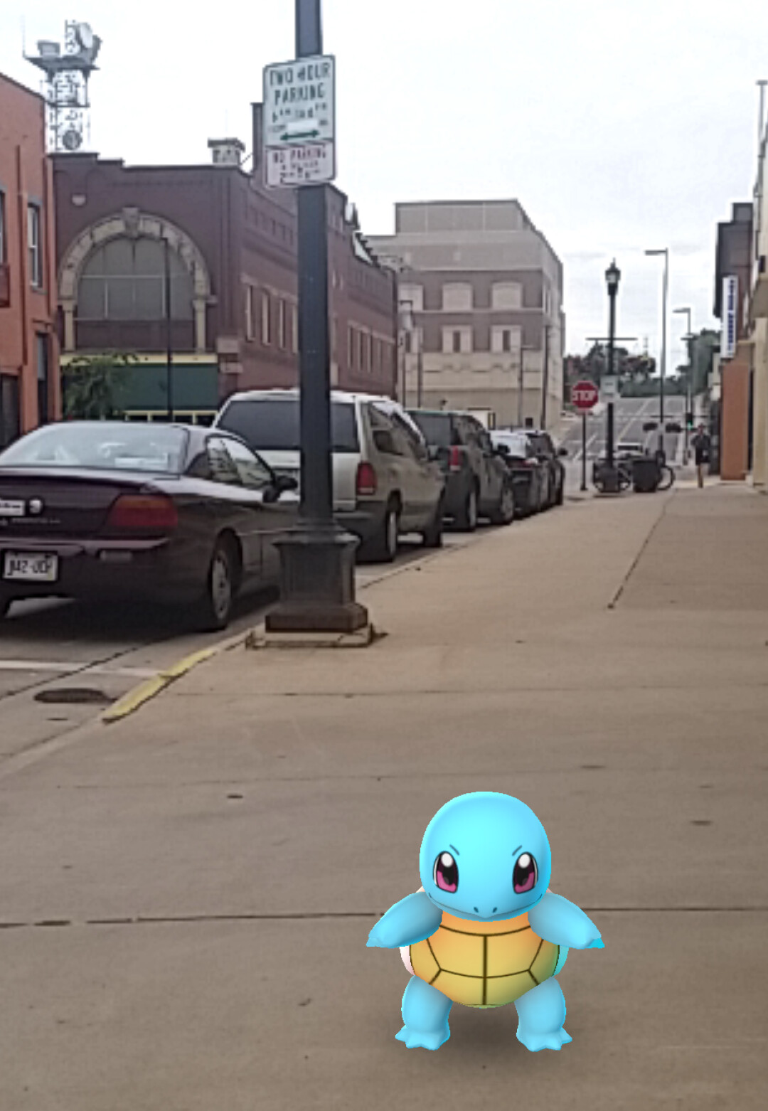 Local Squirtle