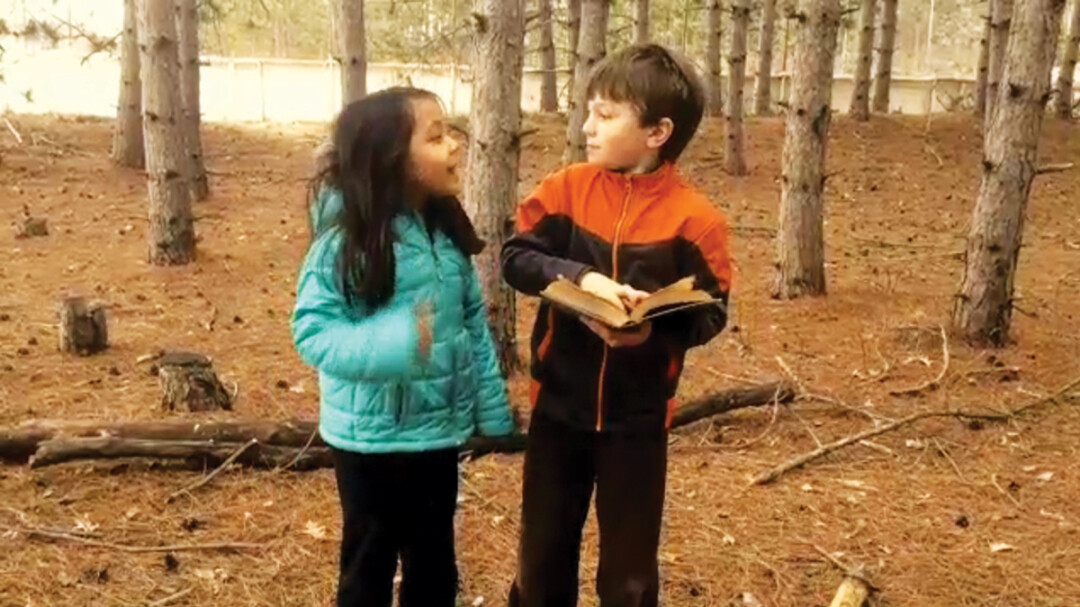 Winning film entry 
