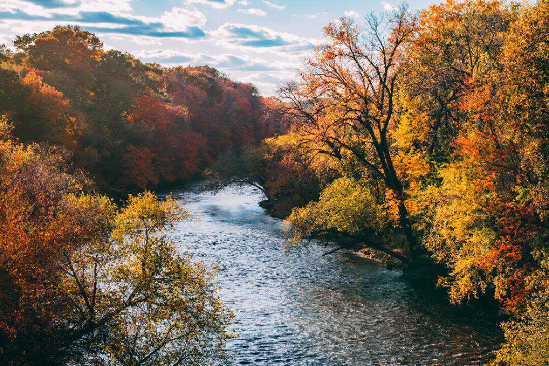 The Eau Claire River. Photo by Taylor Smith.
