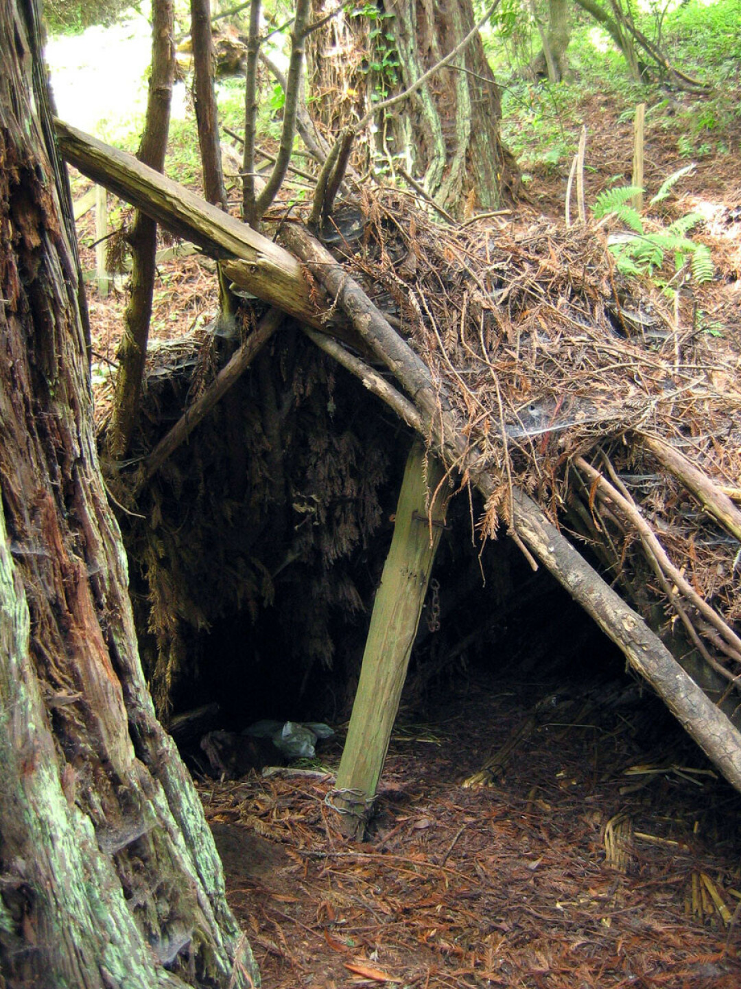 A simple lean-to shelter. (Photo by Erik Fitzpatrick | CC BY 2.0)